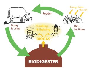 biogas_proces