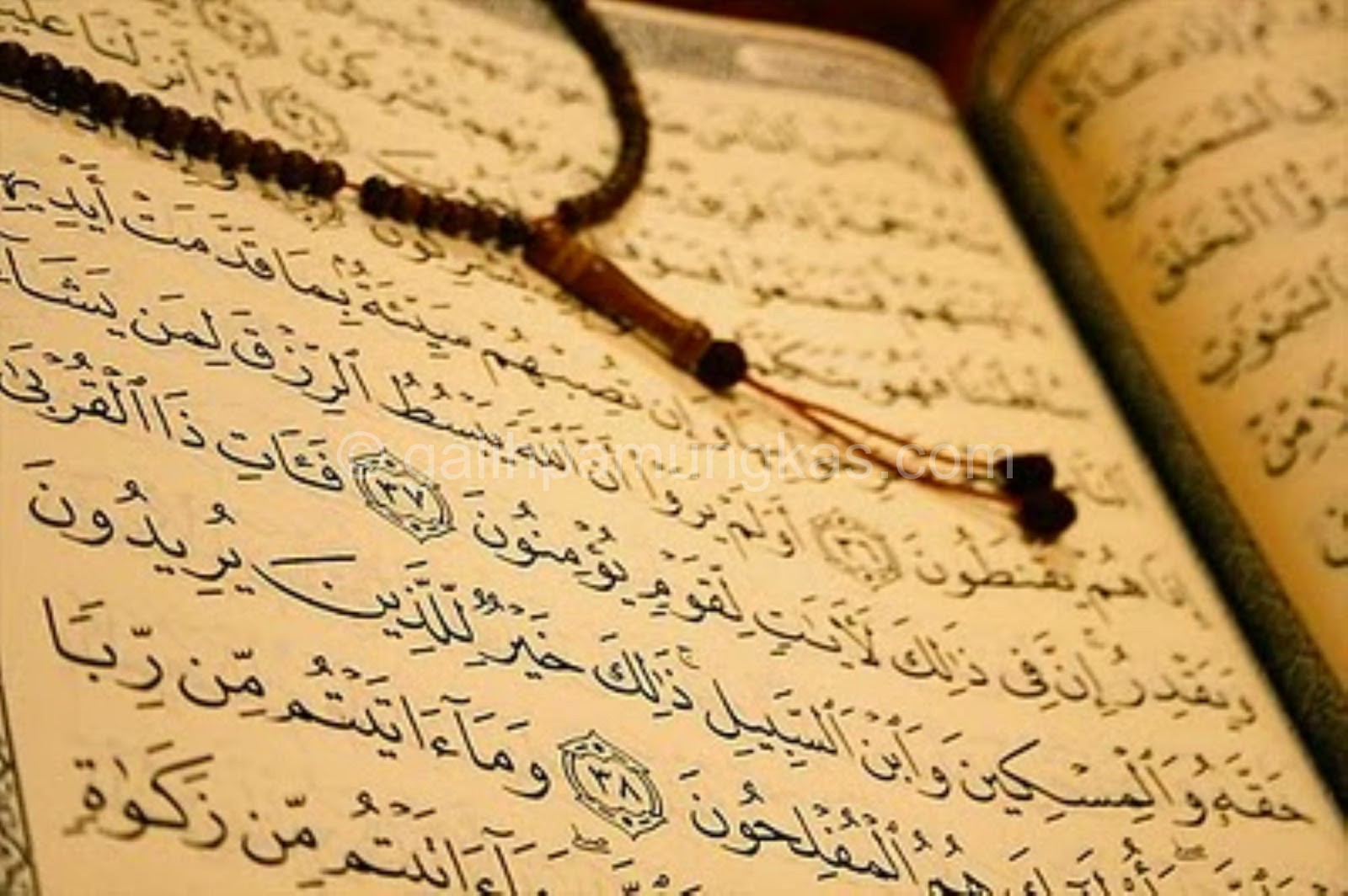 Membuka Pintu Kebahagiaan Dengan Dzikir Dan Membaca Al-Qur’an