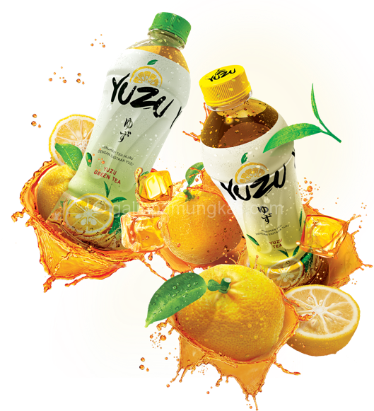 Ciri ciri buah yuzu citrus